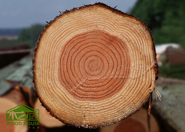 木之屋實木家具http://www.cse-solar.com